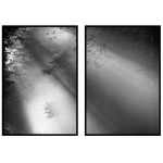 Solsken i mörk skog - Tavla i två delar