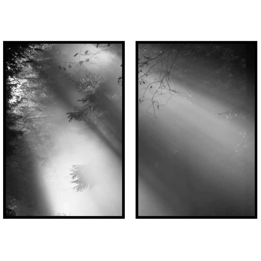 Solsken i mörk skog - Tavla i två delar