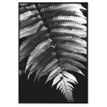 Palmtree Leaves - Black and White Poster