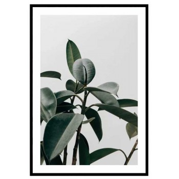 Gröna växter - Botanisk enkel poster