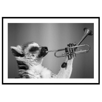 Musik poster - Tvättbjörn spelar trumpet
