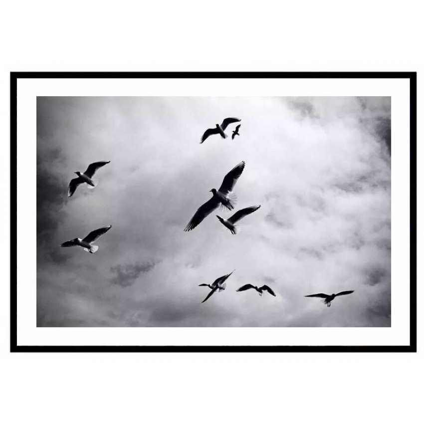 Fåglar bland molnen - Svartvit poster