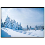 Nature in winter poster