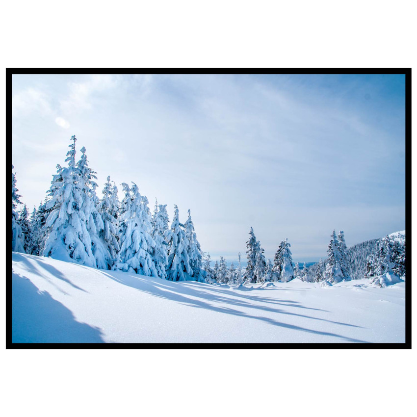 Nature in winter poster