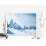 Nature in winter poster