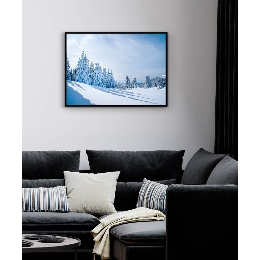 Nature in winter poster