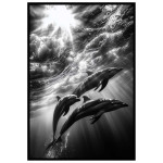 Delfiner & Solstrålar - Abstrakt & elegant poster