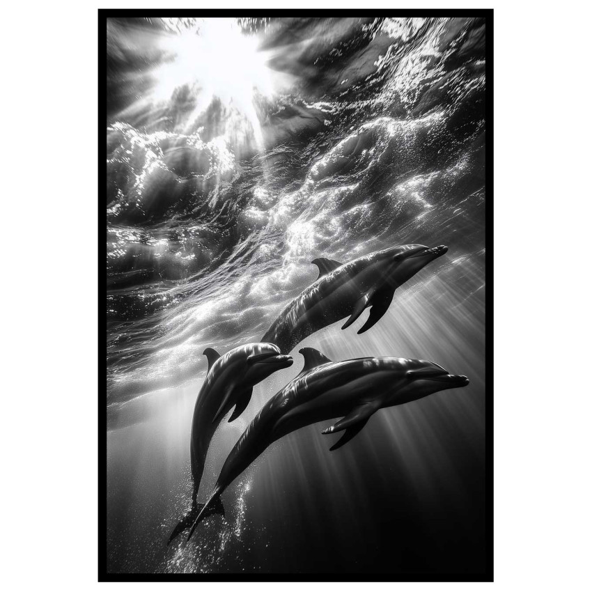 Delfiner & Solstrålar - Abstrakt & elegant poster