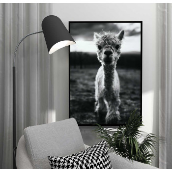 Cute baby Alpaca - Simple & cool poster