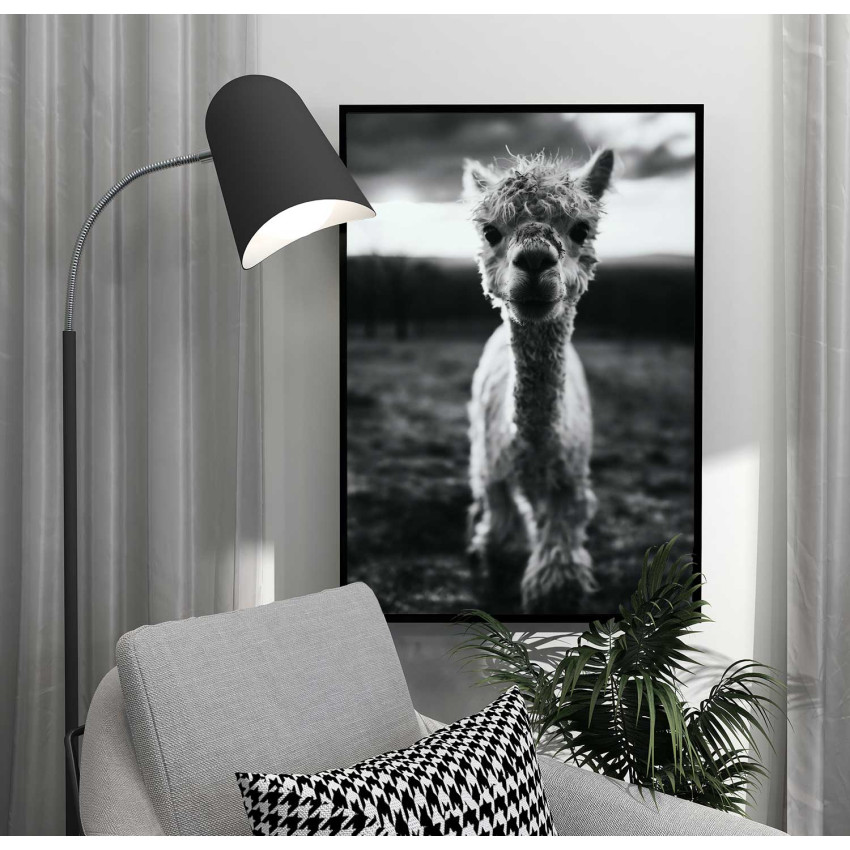 Cute baby Alpaca - Simple & cool poster