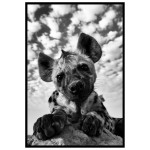 Söt Hyena - Trendig poster