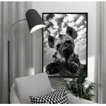 Söt Hyena - Trendig poster