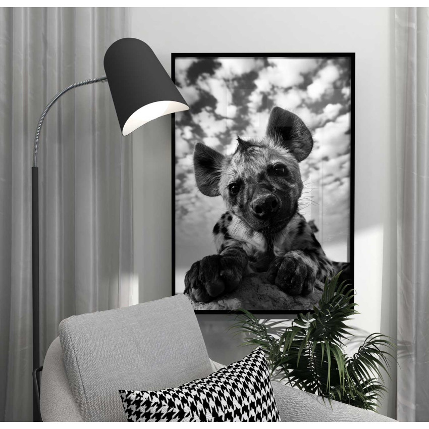 Söt Hyena - Trendig poster