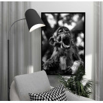 Cute baby Monkey - Simple poster