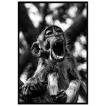 Cute baby Monkey - Simple poster
