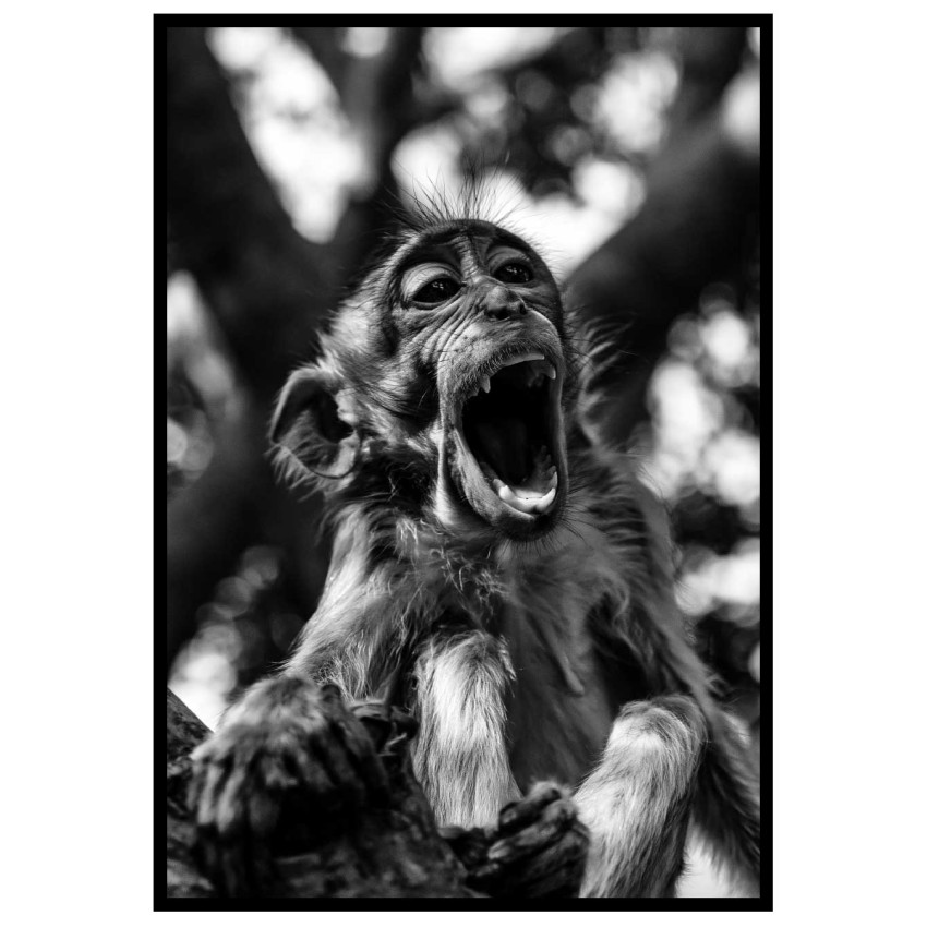 Cute baby Monkey - Simple poster