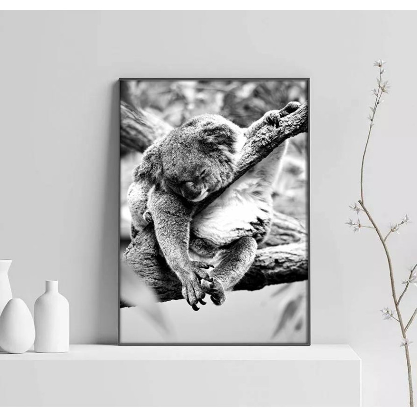 Koala - Black and white poster