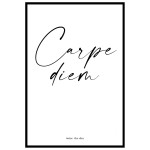 Carpe diem trendy text poster