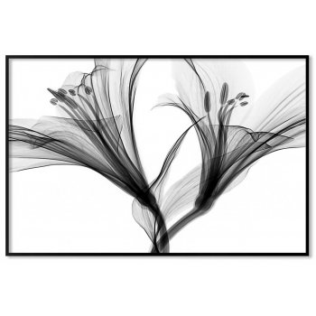 Simple flower - Black and White Poster