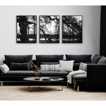 Tree in Focus and Sunset - Poster in Three Pieces