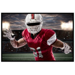 Amerikans fotboll - Snygg sport plansch