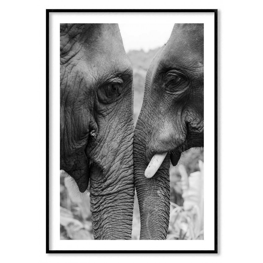 Par av elefanter - Djurtavla
