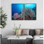 Corals under the sea - Two piece poster