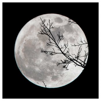 Månen - Kvadratisk svartvit poster