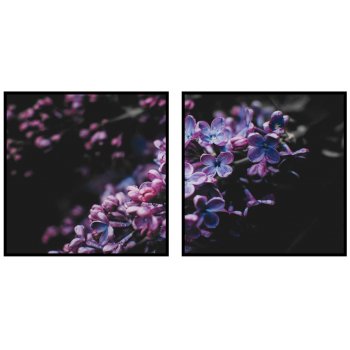 Lila blommor - Perfect pair kvadratiska tavlor
