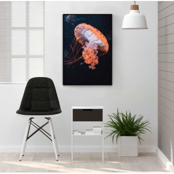 Jellyfish - Poster
