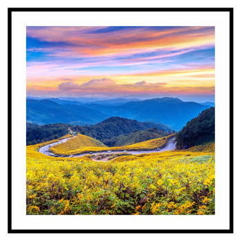 Colorful nature square poster