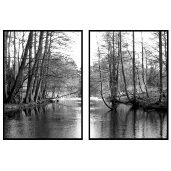 Skogsmotiv med en fin bäck - Poster i två delar