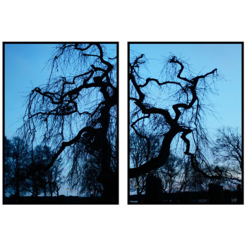 Tr&auml;d silhuett med bl&aring; himmel - Tv&aring;delad poster