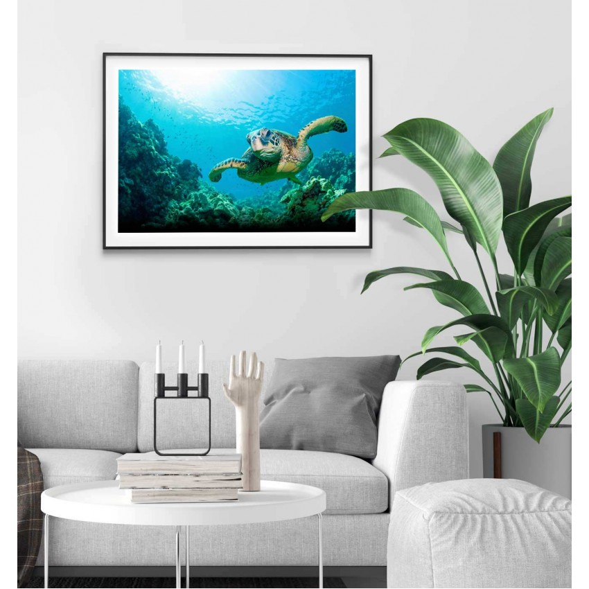 Turtle in the ocean poster