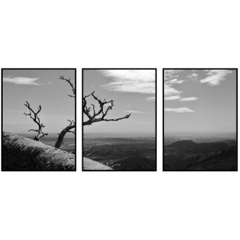 Landscape with a dead tree - Poster in three pieces
