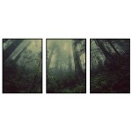 Beautiful forest - Big poster in three pieces