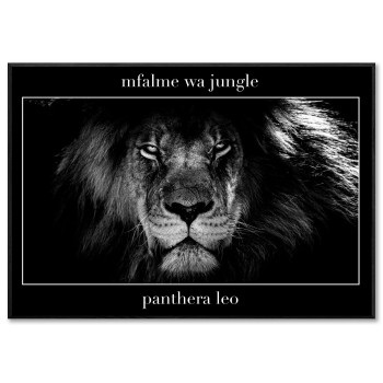 Lejon King of the Jungle på Swahili - Svartvit poster