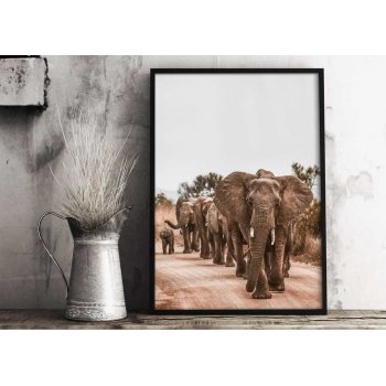 Flock av elefanter - Djurposter