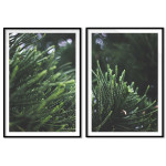 Green Leaves - Two Piece Poster