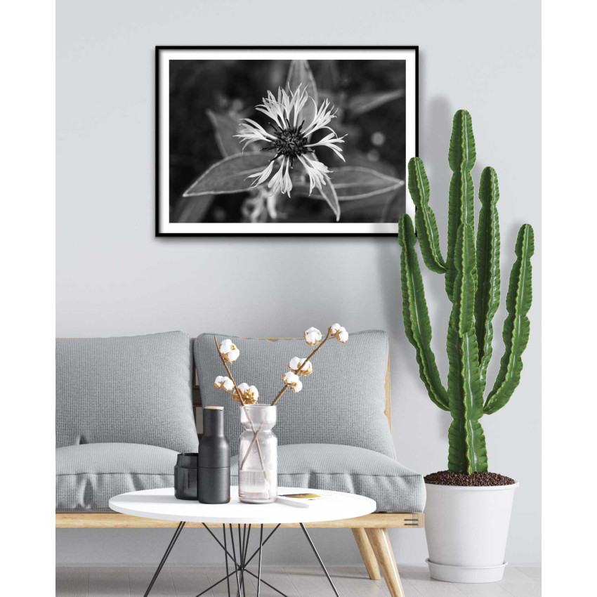 Flower - Black and White Poster