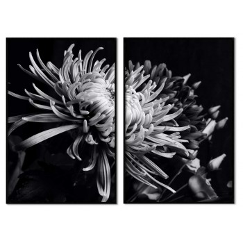 Abstract flower - Two piece black & white poster