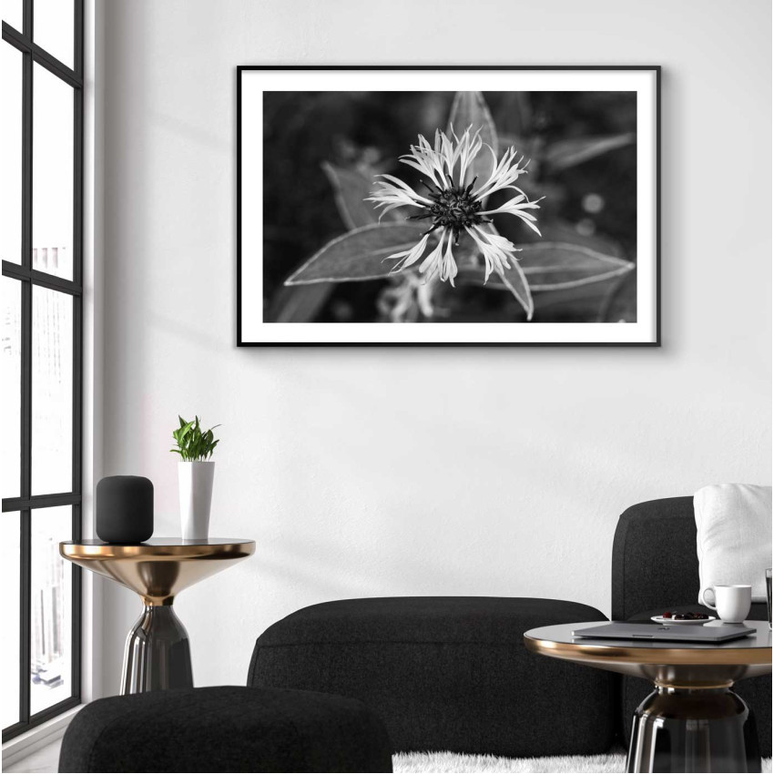 Flower - Black and White Poster