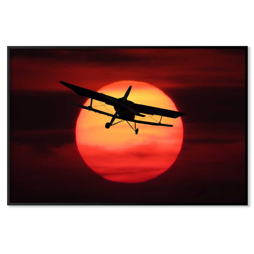 Airplane Sunset Poster