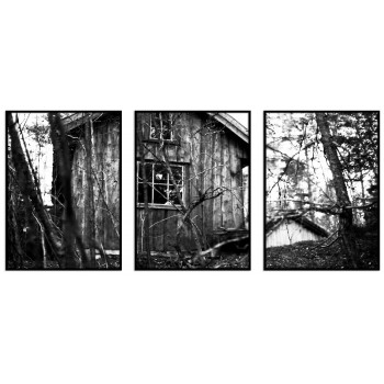 Abandoned House in the Swedish Forest - Three Piece Poster