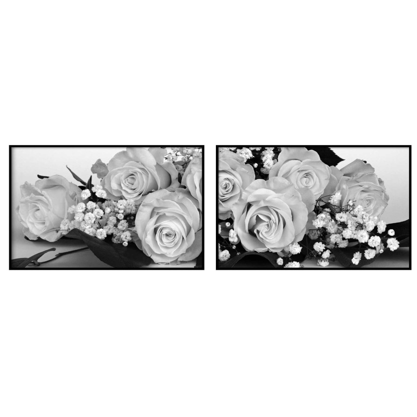 Roses - Two Piece Poster Set