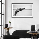 Humpback Whale - Original animal poster