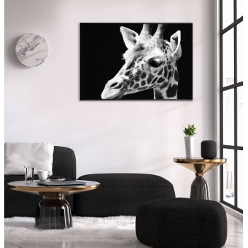 Giraffe - Black and White Poster