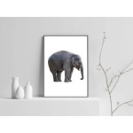 Elephant - Simple Black and White Poster