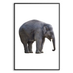 Elephant - Simple Black and White Poster