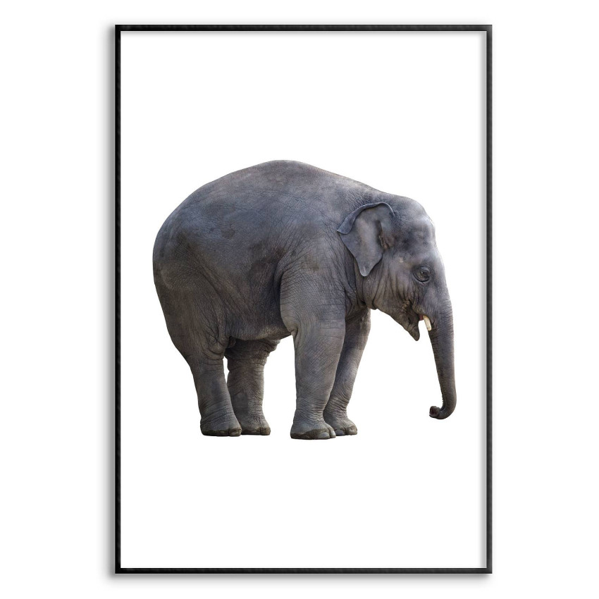 Elephant - Simple Black and White Poster